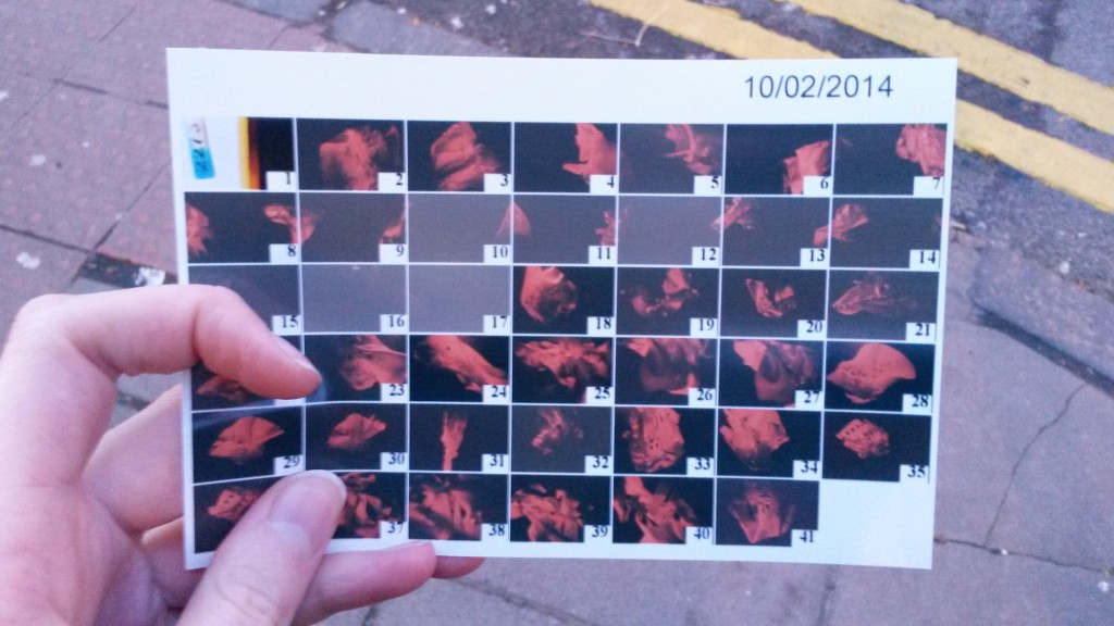 contact sheet