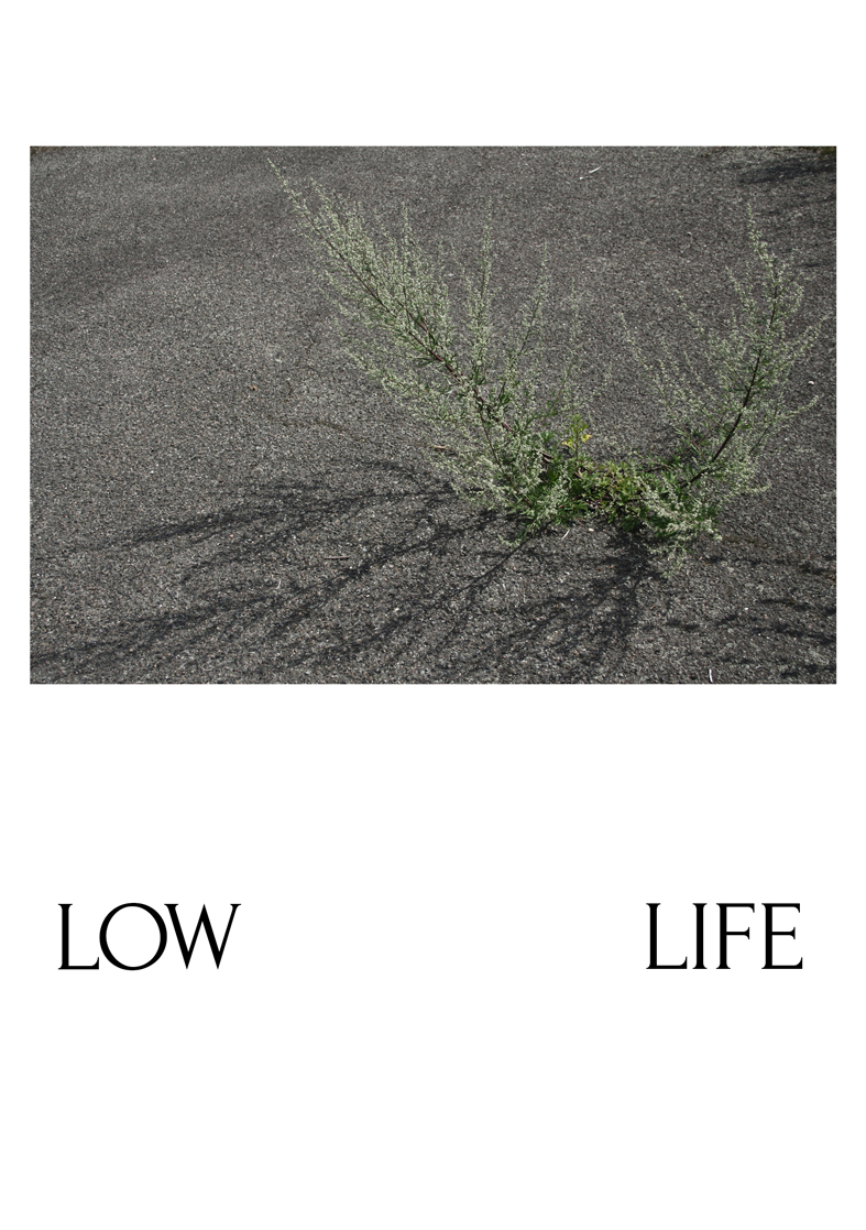 Lowlife  